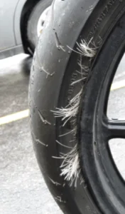 Enhance Your Riding Skills to Reduce Wildlife Collision Risks