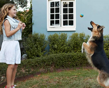Practical Tips to Boost Your Home's Value and Appeal