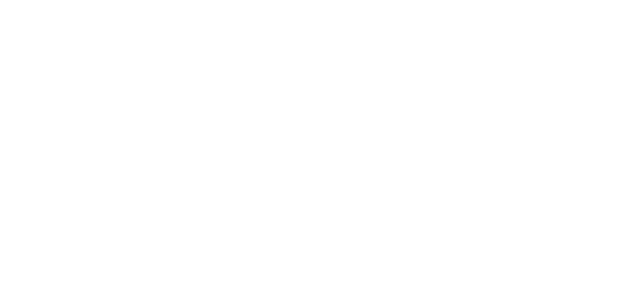 Riders Plus Insurance Logo