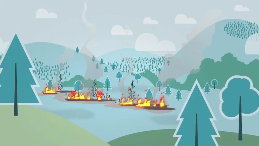 Preparing for Wildfire Season in British Columbia: Essential Steps for 2024