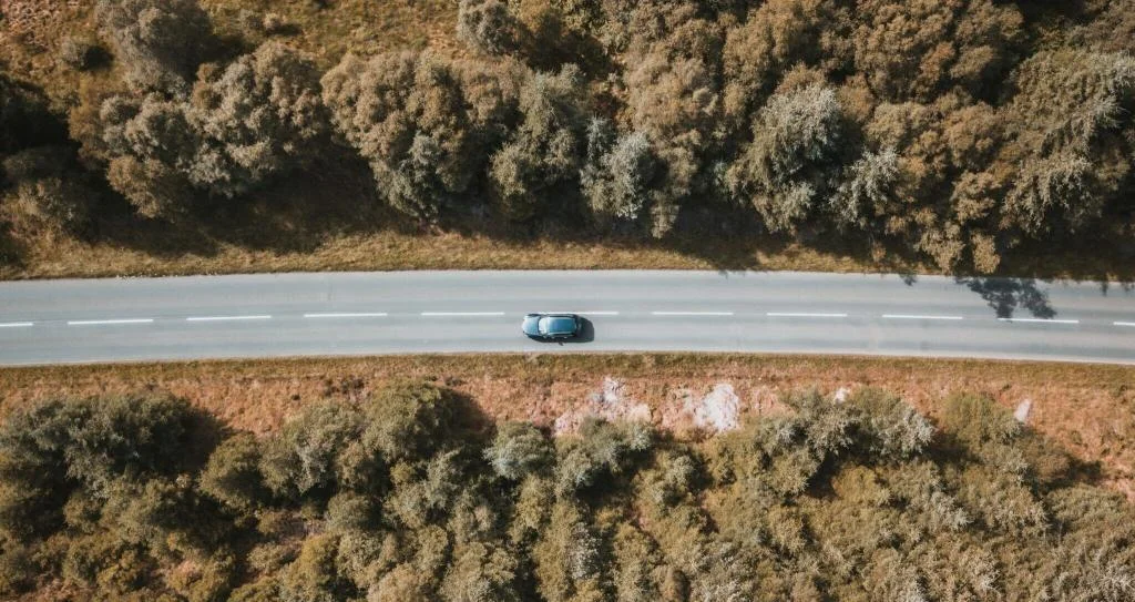 Navigating Fall and Winter Driving: Safety Tips to Keep You Covered