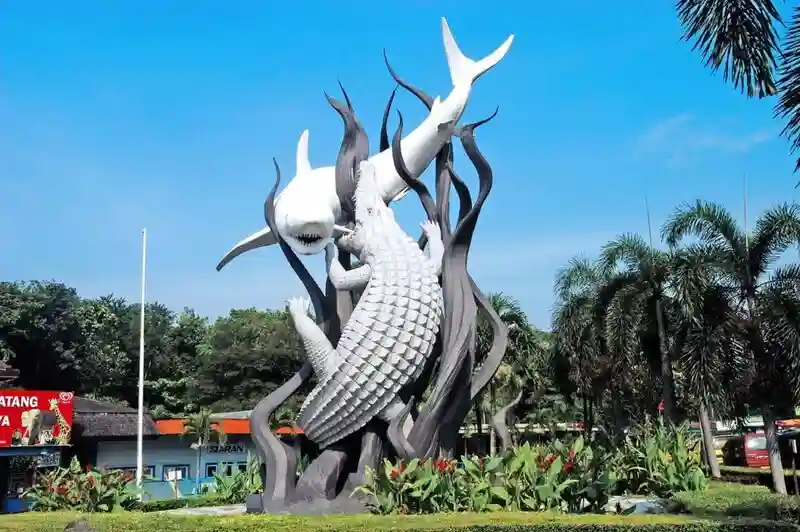 Travel Banyuwangi Surabaya