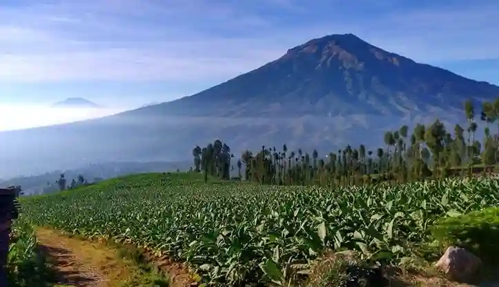 Travel Jakarta Temanggung