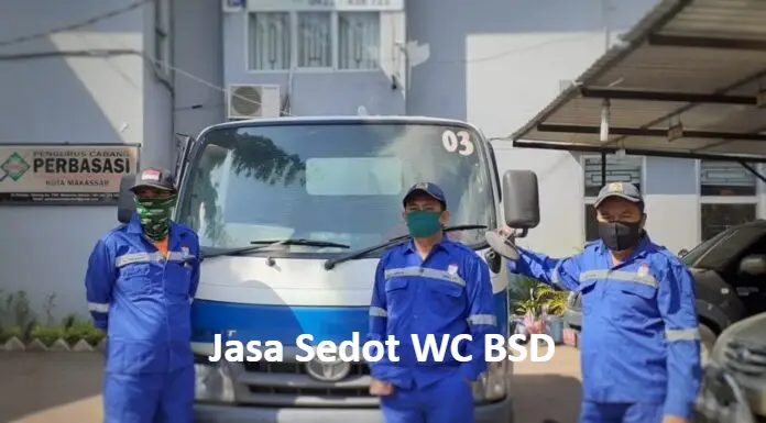 Sedot WC BSD